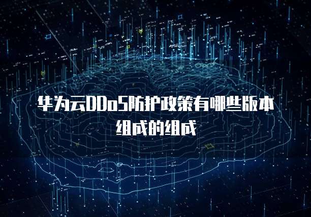 华为云DDoS防护政策有哪些版本组成的组成