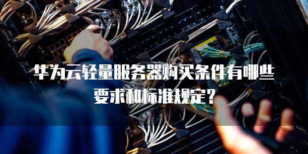 华为云轻量服务器购买条件有哪些要求和标准规定？
