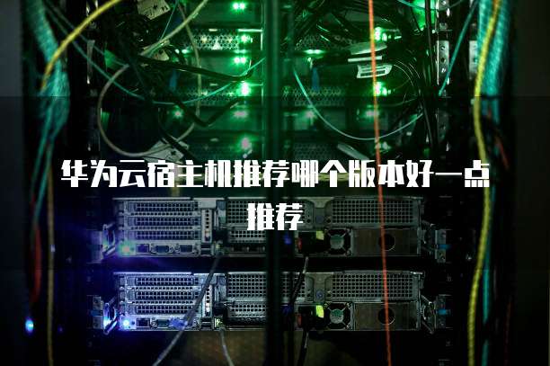 华为云宿主机推荐哪个版本好一点推荐
