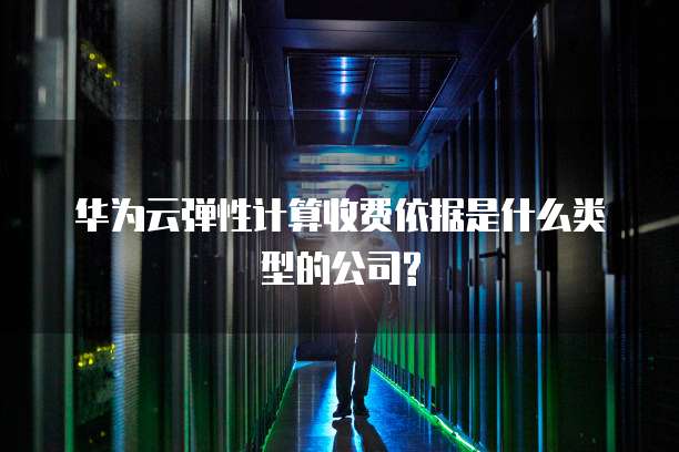 华为云弹性计算收费依据是什么类型的公司?