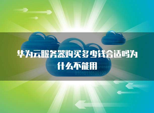 华为云服务器购买多少钱合适吗为什么不能用