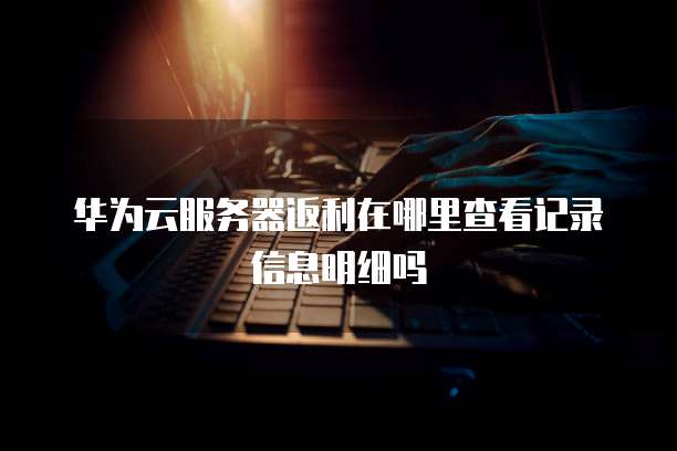 华为云服务器返利在哪里查看记录信息明细吗