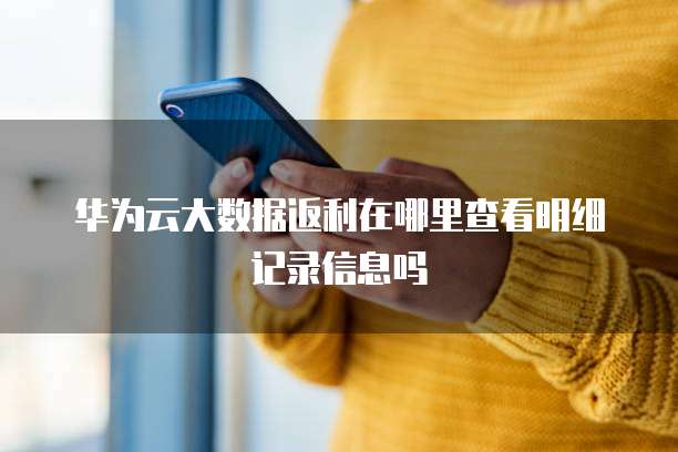华为云大数据返利在哪里查看明细记录信息吗