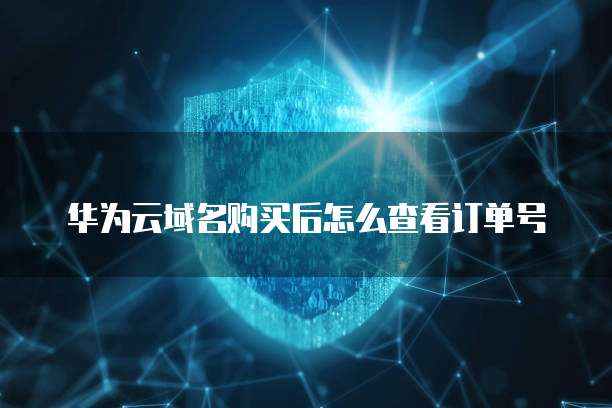 华为云域名购买后怎么查看订单号