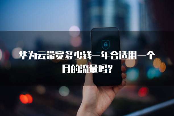 华为云带宽多少钱一年合适用一个月的流量吗?