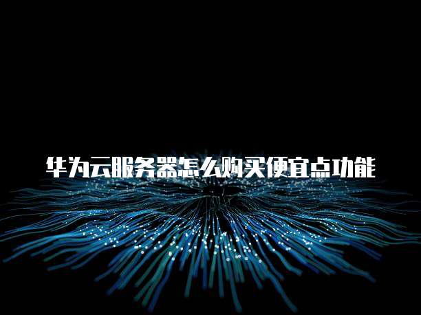 华为云服务器怎么购买便宜点功能