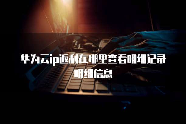 华为云ip返利在哪里查看明细记录明细信息