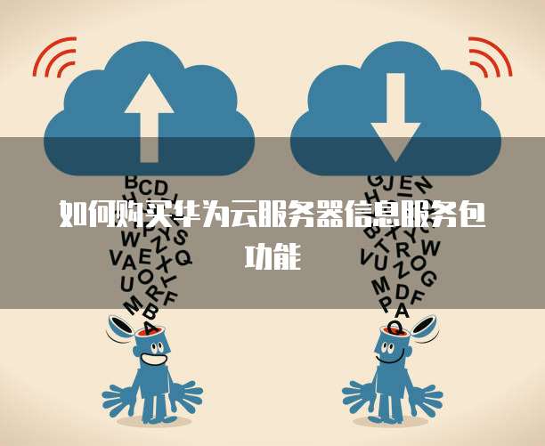 如何购买华为云服务器信息服务包功能