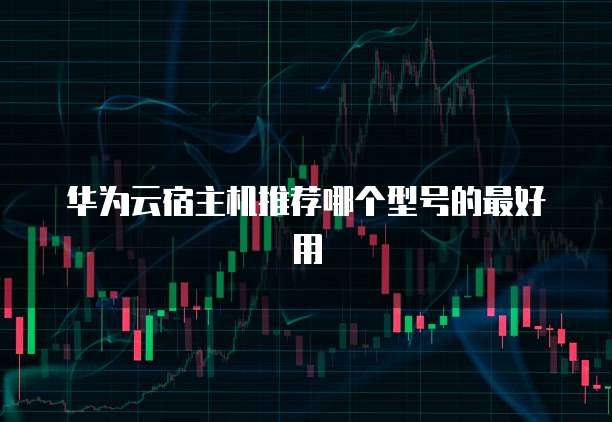 华为云宿主机推荐哪个型号的最好用