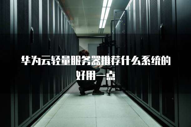 华为云轻量服务器推荐什么系统的好用一点