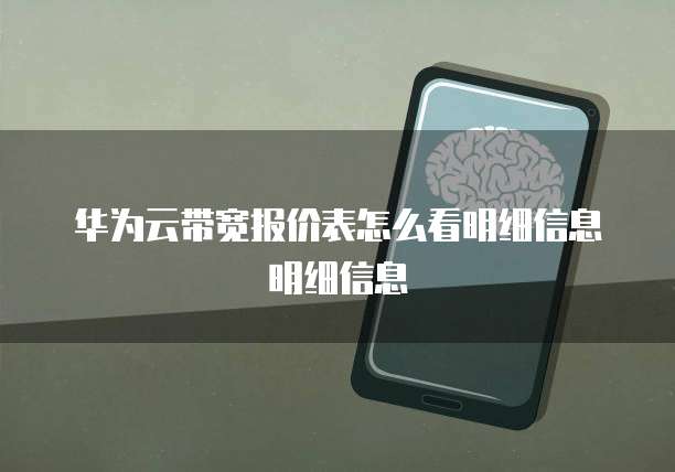 华为云带宽报价表怎么看明细信息明细信息