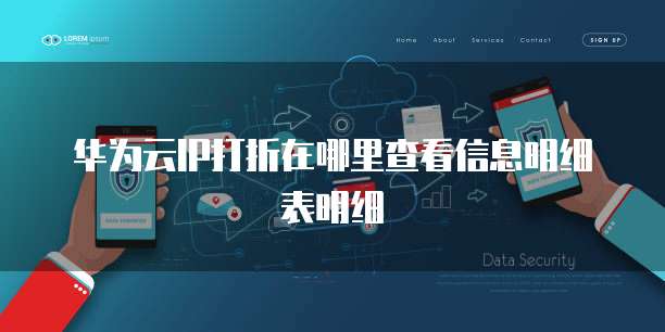 华为云IP打折在哪里查看信息明细表明细