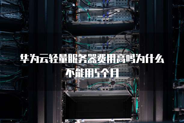 华为云轻量服务器费用高吗为什么不能用5个月