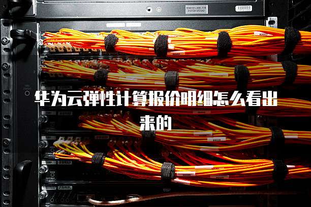 华为云弹性计算报价明细怎么看出来的