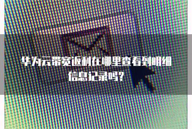华为云带宽返利在哪里查看到明细信息记录吗?
