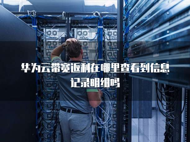 华为云带宽返利在哪里查看到信息记录明细吗