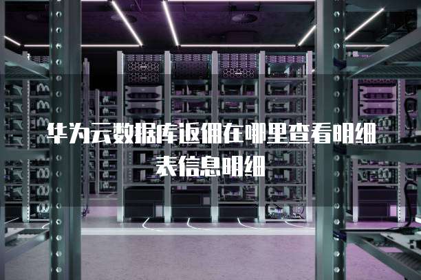 华为云数据库返佣在哪里查看明细表信息明细