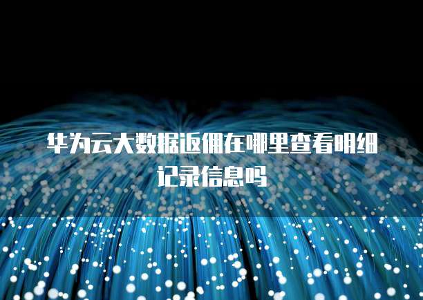 华为云大数据返佣在哪里查看明细记录信息吗