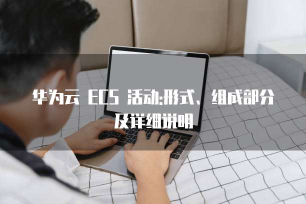 华为云 ECS 活动:形式、组成部分及详细说明