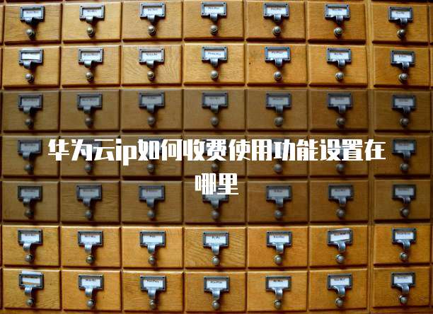 华为云ip如何收费使用功能设置在哪里