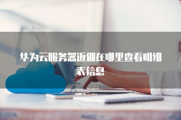 华为云服务器返佣在哪里查看明细表信息