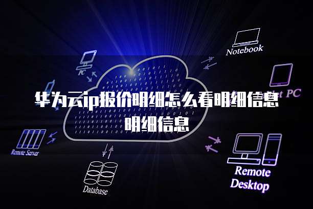华为云ip报价明细怎么看明细信息明细信息