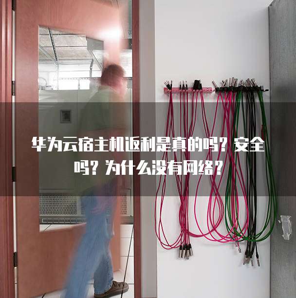 华为云宿主机返利是真的吗?安全吗?为什么没有网络?