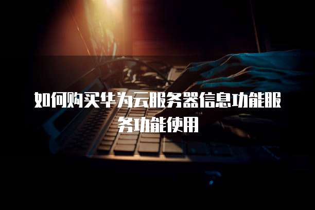 如何购买华为云服务器信息功能服务功能使用