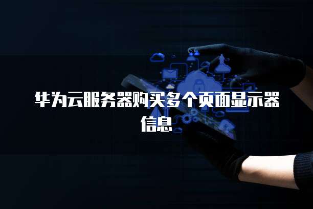 华为云服务器购买多个页面显示器信息