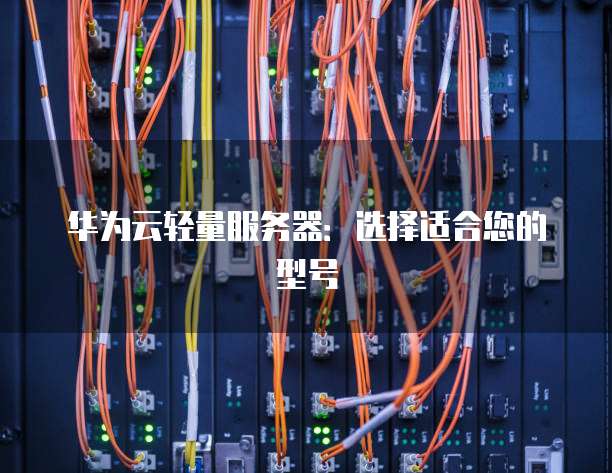 华为云轻量服务器:选择适合您的型号