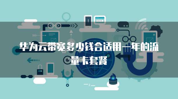 华为云带宽多少钱合适用一年的流量卡套餐