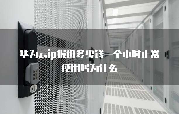 华为云ip报价多少钱一个小时正常使用吗为什么