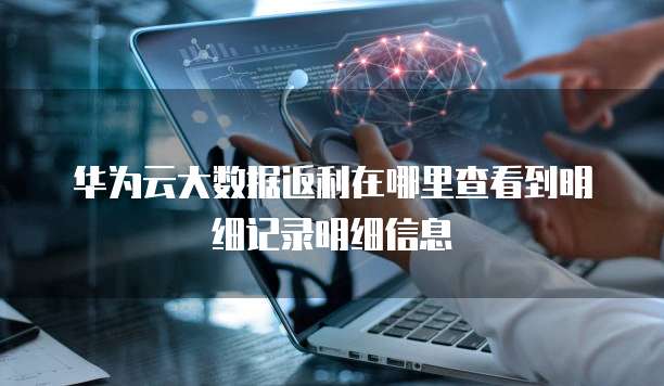 华为云大数据返利在哪里查看到明细记录明细信息
