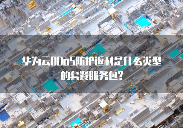 华为云DDoS防护返利是什么类型的套餐服务包?