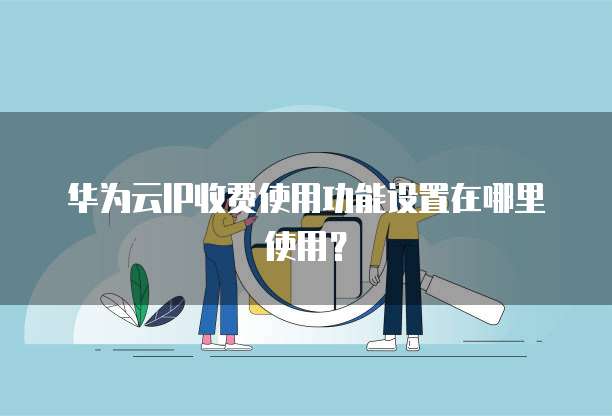 华为云IP收费使用功能设置在哪里使用？