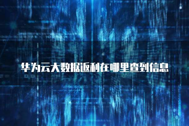 华为云大数据返利在哪里查到信息