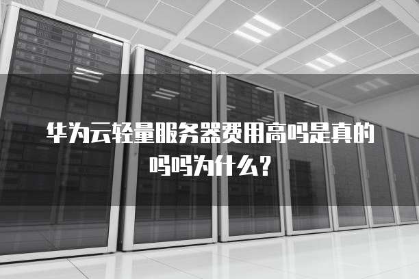 华为云轻量服务器费用高吗是真的吗吗为什么?