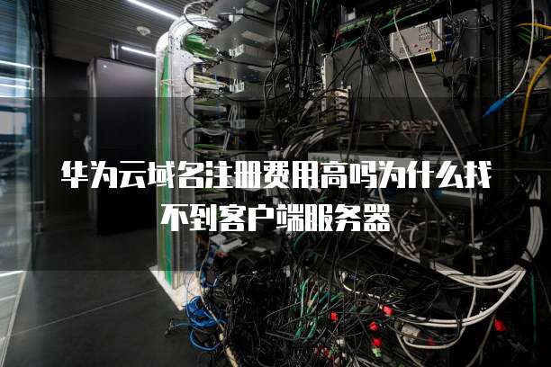 华为云域名注册费用高吗为什么找不到客户端服务器