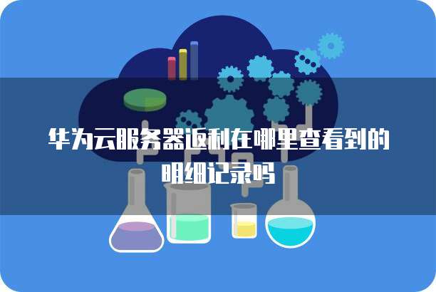 华为云服务器返利在哪里查看到的明细记录吗