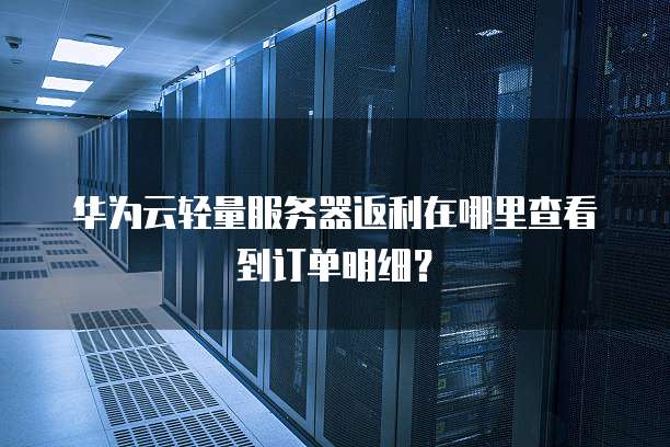 华为云轻量服务器返利在哪里查看到订单明细？