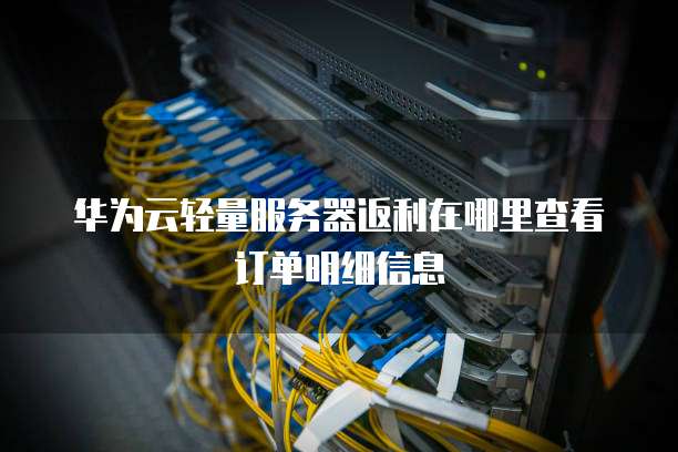 华为云轻量服务器返利在哪里查看订单明细信息