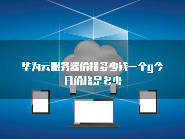 华为云服务器价格多少钱一个g今日价格是多少