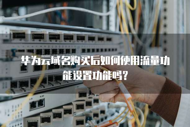 华为云域名购买后如何使用流量功能设置功能吗?