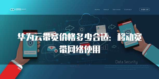 华为云带宽价格多少合适：移动宽带网络使用