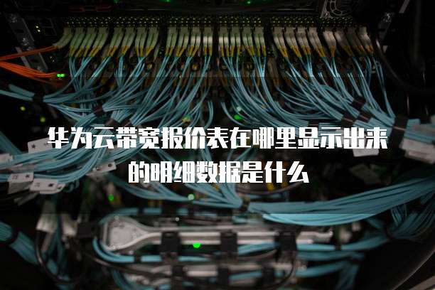 华为云带宽报价表在哪里显示出来的明细数据是什么