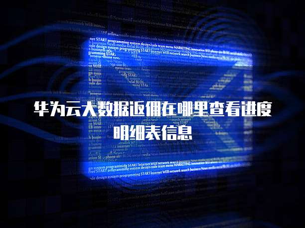 华为云大数据返佣在哪里查看进度明细表信息