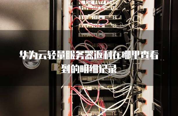 华为云轻量服务器返利在哪里查看到的明细记录