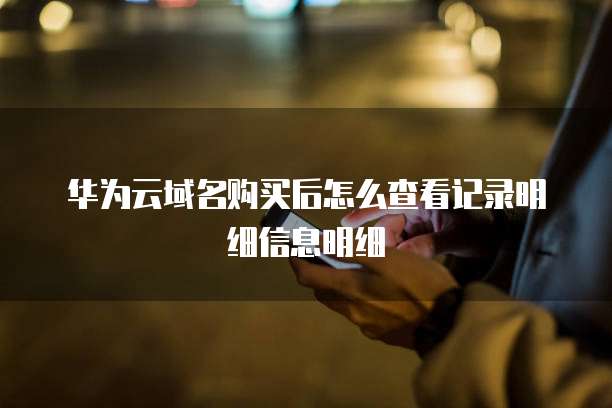 华为云域名购买后怎么查看记录明细信息明细