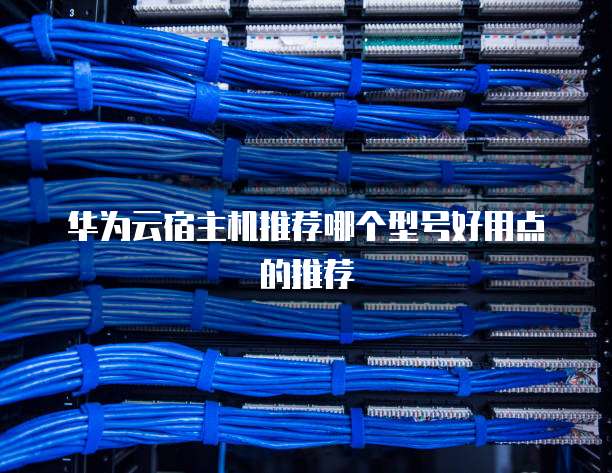 华为云宿主机推荐哪个型号好用点的推荐