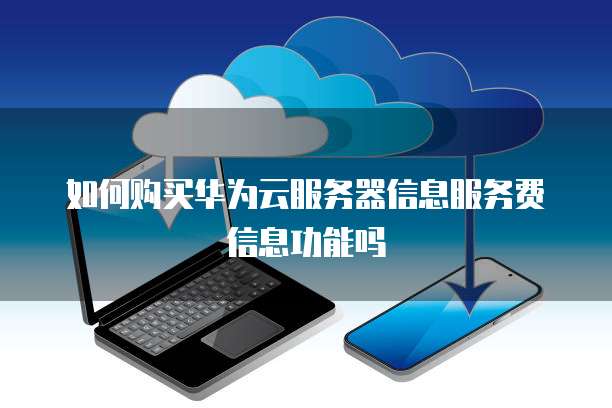 如何购买华为云服务器信息服务费信息功能吗